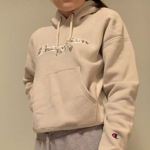 Urban Outfitters Vintage Champion Hoodie